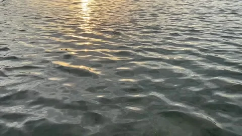 Sunlight reflection and flowing sea water Stock Footage 248529321