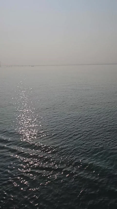 Sunlight Reflection on Calm Ocean Surface with Distant Seagulls, Long Shot 4K Vídeos de archivo 330166463