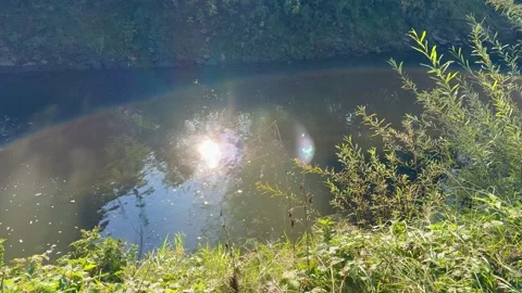 Sunlight Reflection on Calm River Surface Stock Footage 318849256
