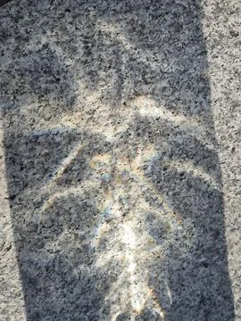Sunlight Reflection on Granite Stone Surface Stock Photos