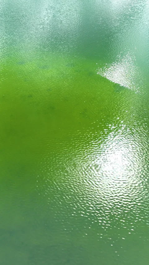 Sunlight Reflection on Green Lake Water Surface Stock Footage 339001089