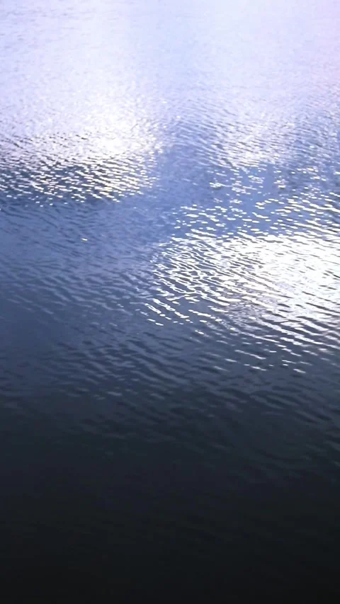 Sunlight Reflection on Lake at Sunset Stock Footage 311427481