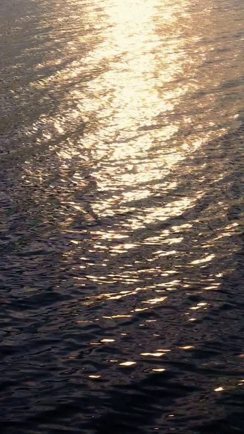 Sunlight Reflection on Lake at Sunset Stock Footage 311427618