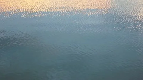 Sunlight Reflection on Lake at Sunset Video stock 311789846