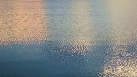 Sunlight Reflection on Lake at Sunset Stock Footage 311790121