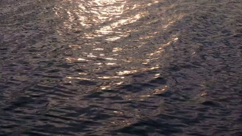 Sunlight Reflection on Lake at Sunset Stock Footage 311790666