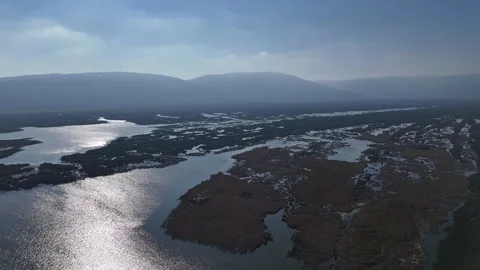 Sunlight reflection over lake of flood plain Stock Footage 291402774