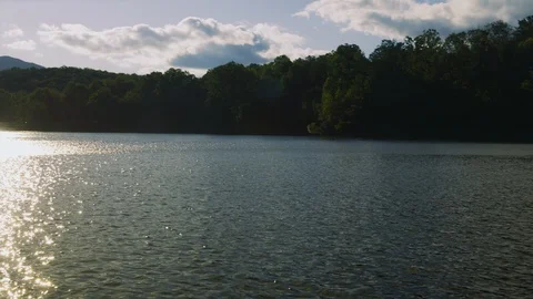 Sunlight reflection on river with green forest on a sunny day Stock Footage 103817020