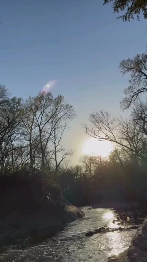 Sunlight Reflection on River with Trees at Sunset Stock Footage 331530770