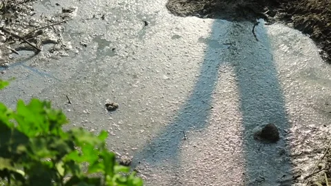 Sunlight Reflection on Shallow Wetland Water with Natural Mud Texture Stock Footage 327608963
