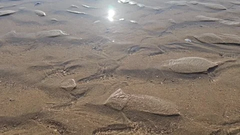 Sunlight Reflection on Tidal Flats Sand Texture at Low Tide, 4K Vídeos de archivo 330166391