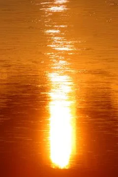 Sunlight reflection on water Stock Photos