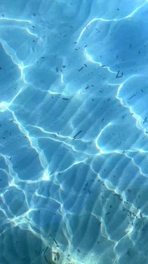 Sunlight Reflections on Clear Blue Water with Ripples and Natural Particles Stock Footage 310210029