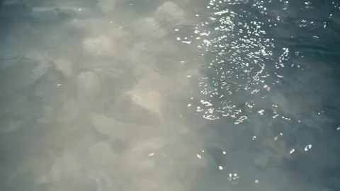 Sunlight reflections dancing on clear water surface over stones Stock Footage 333796673
