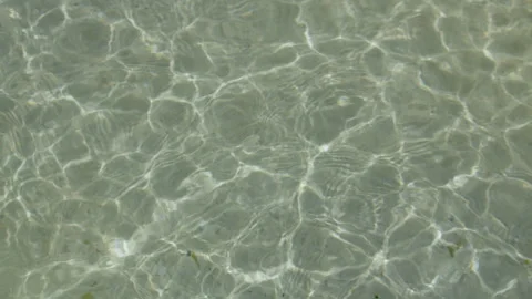 Sunlight Reflections Dancing on Crystal Clear Tropical Seawater Stock Footage 336406794
