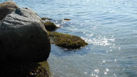 Sunlight reflections in the glittering sea. Rocks and calm waves by the coast Stock Footage 252048586