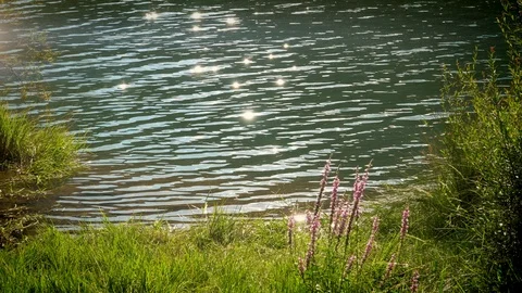 Sunlight reflections in a lake Stock Footage 116047721