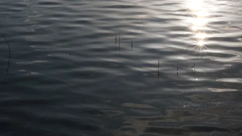 Sunlight reflections in the lake Stock Footage 181892829