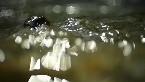 Sunlight reflections on a mountain river with rocks and leaves (slow motion) Stock Footage 211764061