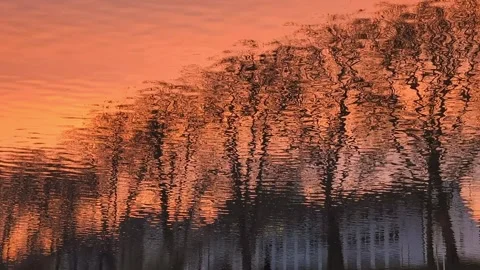 Sunlight reflections on Neckar river waves at dusk Video stock 295000723