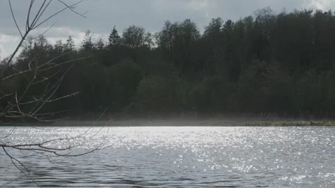 Sunlight Reflections on River – Cinematic Forest Background Stock Footage 308398516