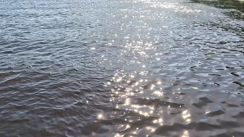 Sunlight reflections shimmering on rippling water surface Stock Footage 320726821