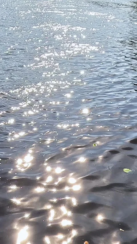 Sunlight reflections sparkling on rippling water surface Video stock 321957326