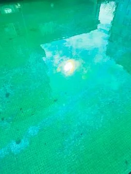 Sunlight reflects on clear water surface in a swimming pool during midday i.. Stock Photos