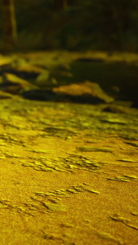 Sunlight reflects on sandy beach at dusk with scattered stones and shells Video stock 331705680