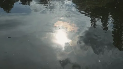 Sunlight reflects off the surface of the water, showing multiple patterns and Vidéo 344527498