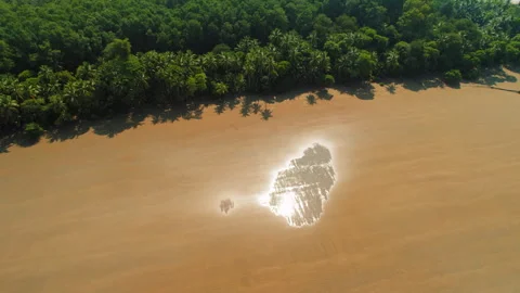 Sunlight reflects off wet sandy beach near lush green tropical forest in Central Stock-Footage 327413910