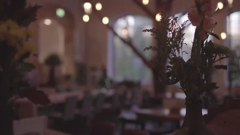 Sunlight in a Restaurant 4K Stock Footage 69092164