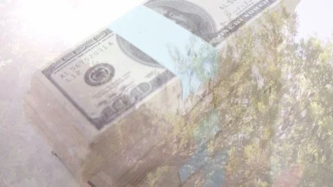 Sunlight revealing $100 stack with tree reflection, drawing man reaching, Stock Footage 334202486