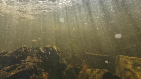 Sunlight reveals rocky textures underwater Video stock 344070499