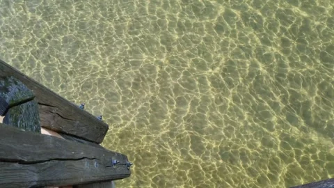 Sunlight Rippling Over Clear Shallow Water by a Groyne Stock Footage 346411497