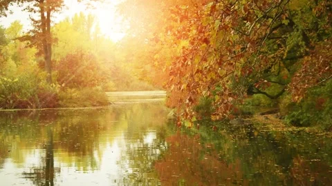 Sunlight on river with tress in autumn colors at sunrise Stock Footage