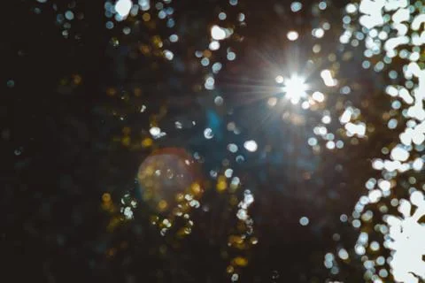 Sunlight running through tree leaves and flaring in Pamplona, Spain Stock Photos