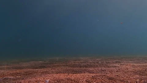 Sunlight on sandy seabed Stock Footage 90008491