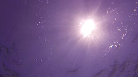 Sunlight seens from under ocean surface pan to fish Stock Footage 42231216