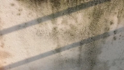Sunlight shadow drops on concrete wall n rain water droplet Stock Footage 156674222