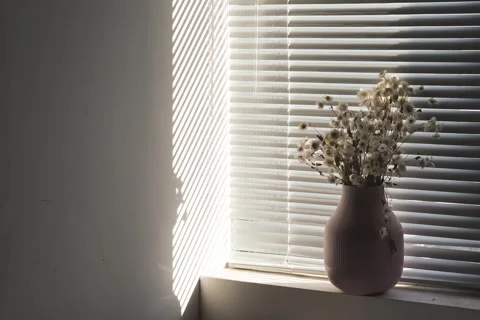 Sunlight Shadows Moving on Blinds and Flower Vase Timelapse Stock Footage 340303072