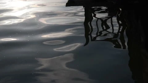 Sunlight with shadows reflections in the lake Stock Footage 181879001