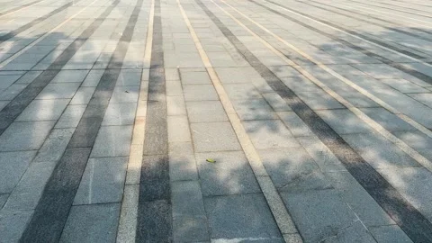 Sunlight shadows of tree leaves moving across a paved stone city plaza floor Stock Footage 341959691