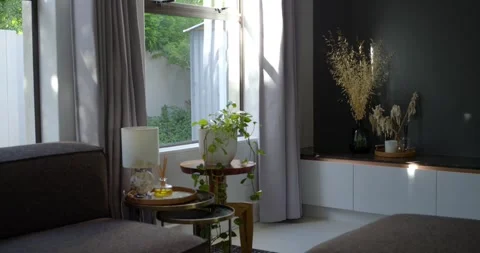 Sunlight is shifting as sun moves, moving bright patches and lighting pothos on Stock Footage 334842045
