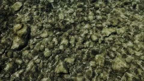Sunlight Shimmering on Clear River Water Stock Footage 337618281