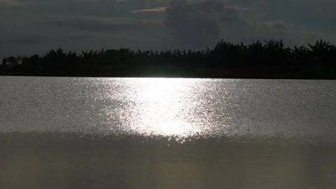Sunlight shimmering on water Stock Footage 320004962