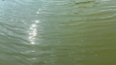 Sunlight Shimmering on Water Surface Stock Footage 285652633
