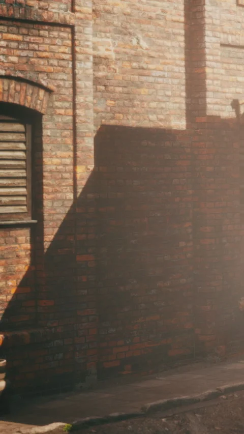 Sunlight shines on brick wall in urban setting during late afternoon Stock Footage 343156511