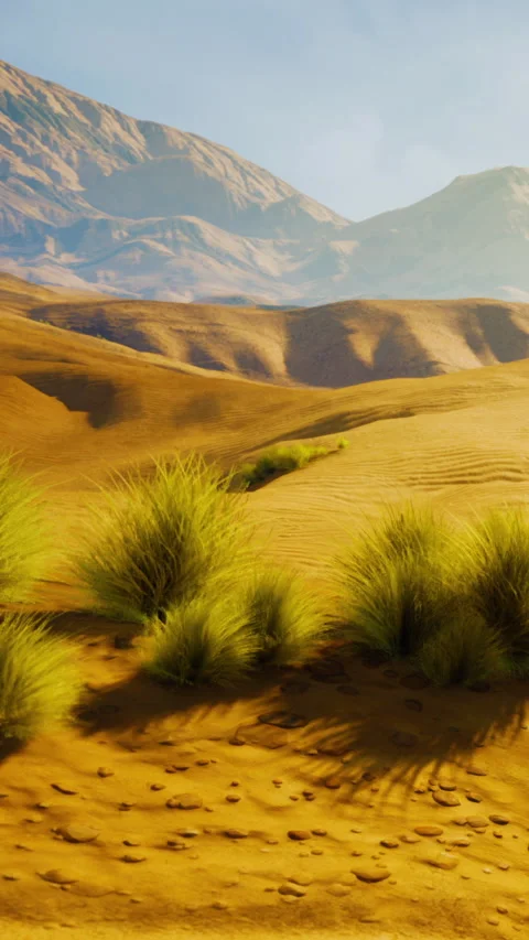 Sunlight shines on desert landscape with grass and mountains in view Stock Footage 341257034