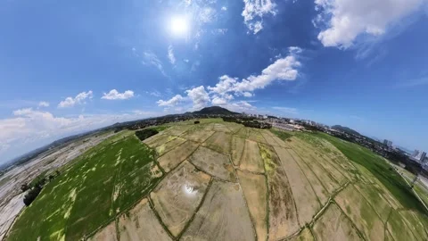 Sunlight shines intensely, illuminating the patchwork of green Stock Footage 339831071